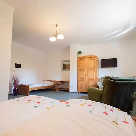 U Stribrneho Jelena Gasthof Cheb