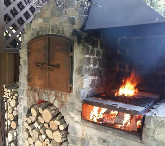 U Stříbrného Jelena Penzion 3*