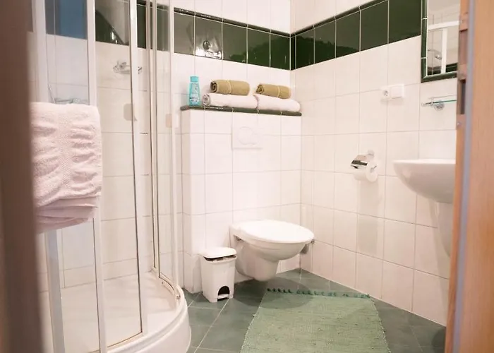 U Stříbrného Jelena 3* Cheb